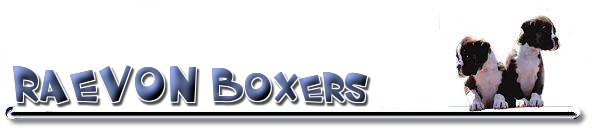 Raevon Boxers